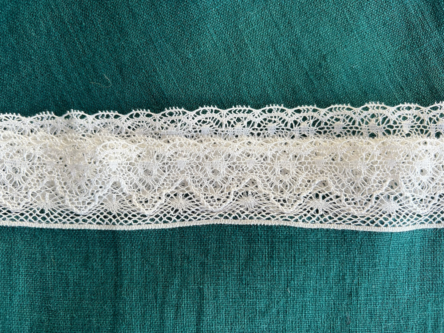 Green Garden at Night