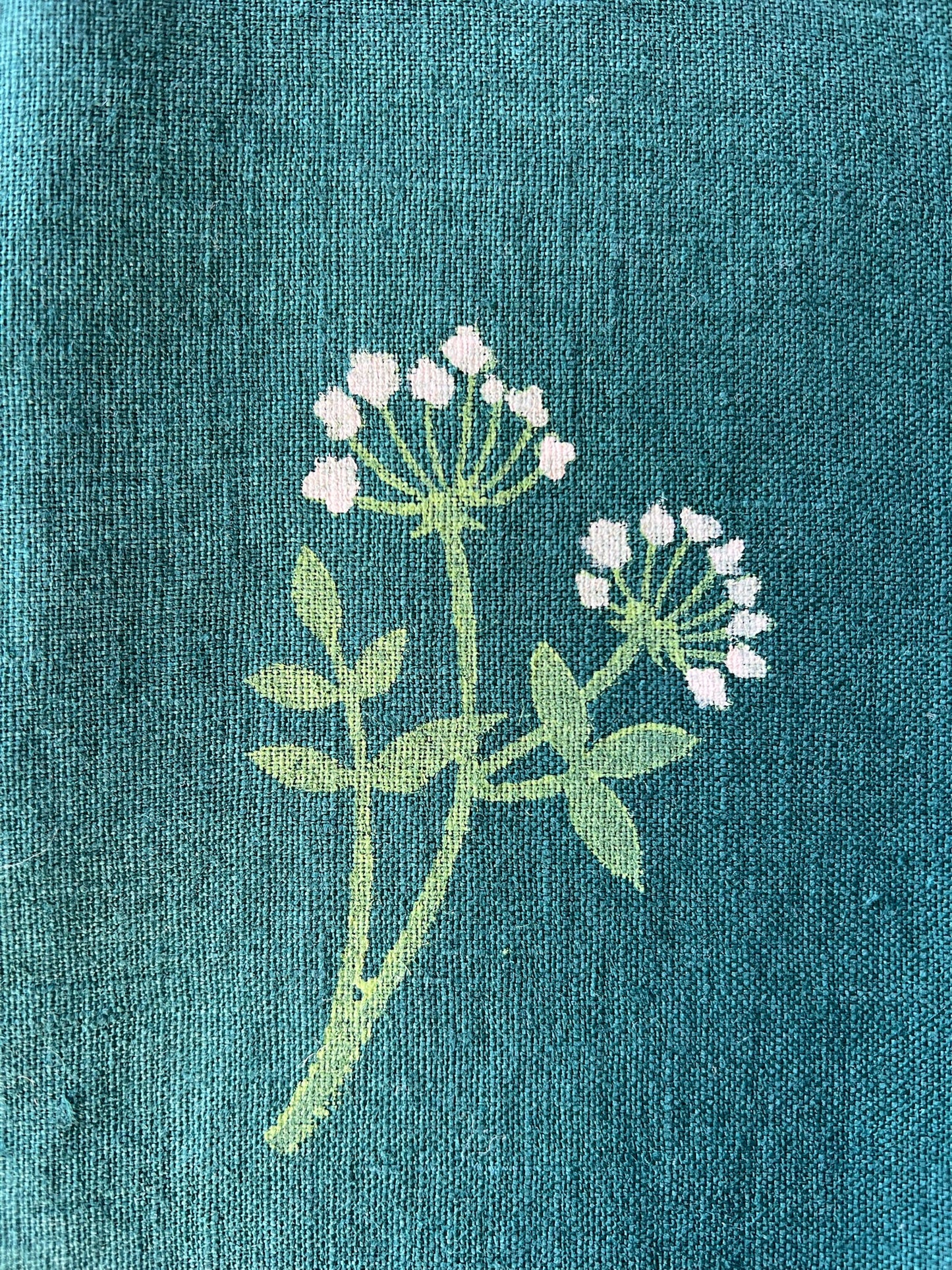 Green Garden at Night