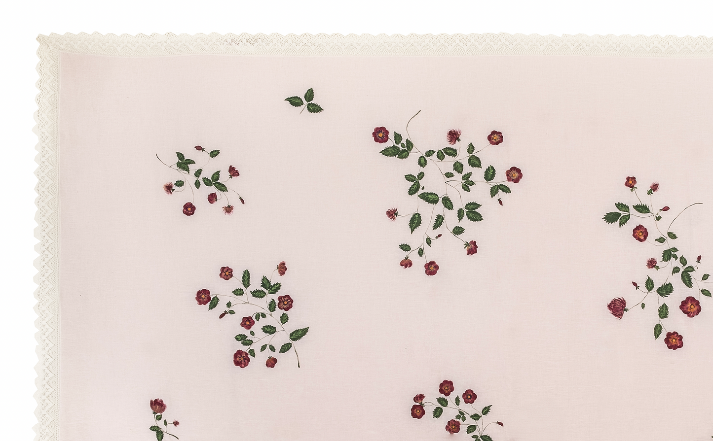 Wild Flowers